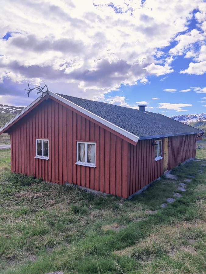 Kyrkjestolen B&B Tyinkrysset Εξωτερικό φωτογραφία